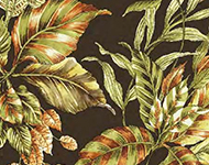 Cocoa leaf pattern