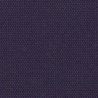 blue violet 2025