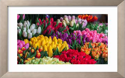 Floral Artwork artflor-1003